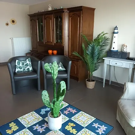 Borealis بلانكنبرخ