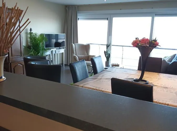 公寓 Borealis 布兰肯贝赫