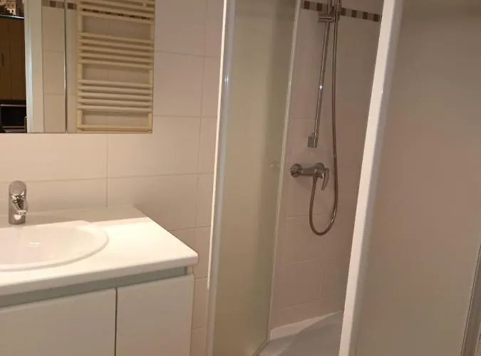 公寓 Borealis 布兰肯贝赫