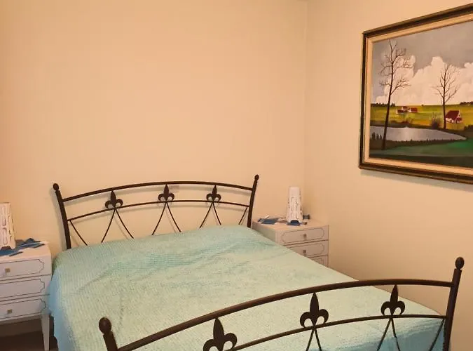 公寓 Borealis 布兰肯贝赫