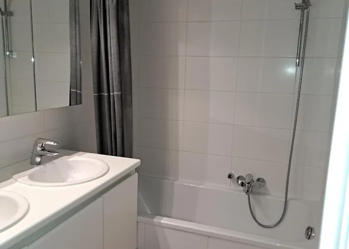 公寓 Borealis 布兰肯贝赫